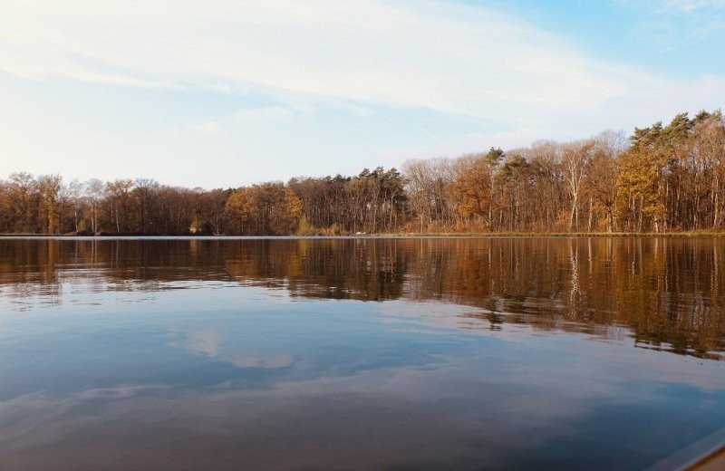 Familiepark goolderheide domein bokrijk natuur 2