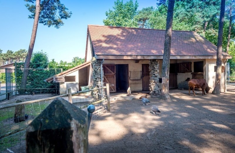 Gh kinderboerderij 3