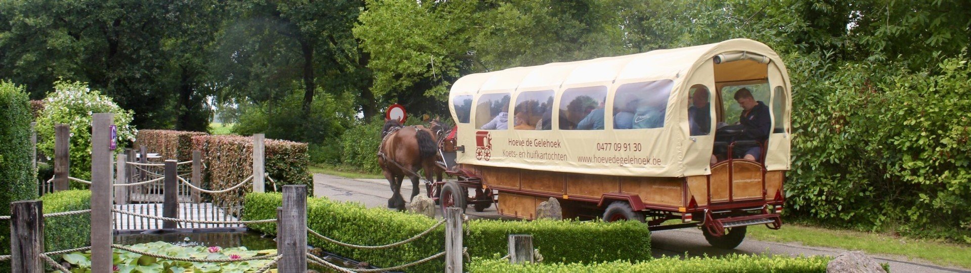 Huifkartocht namiddag vanaf goolderheide 2025 4