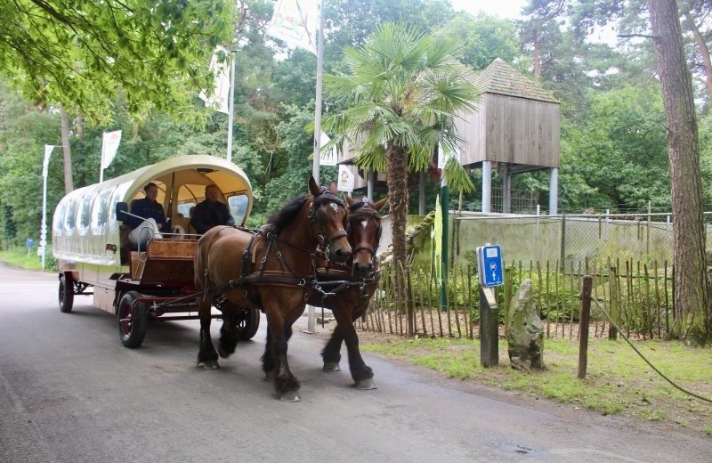 Planwagenfahrten bei Hoeve de Gelehoek