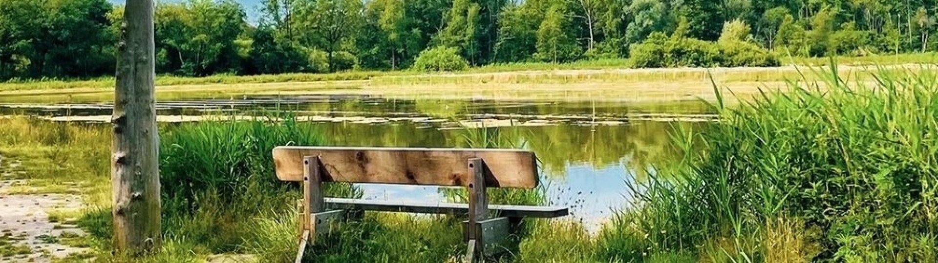 Omgeving belgisch limburg