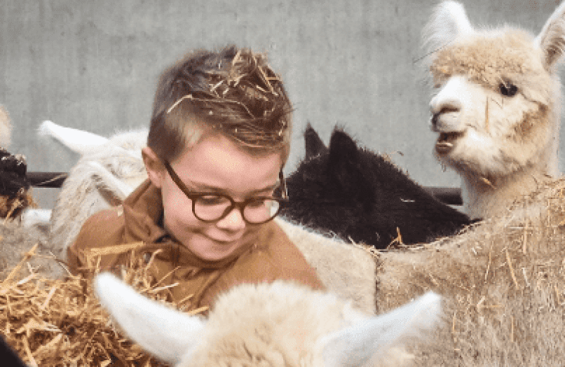 Schermafbeelding 2025 06 02 140722