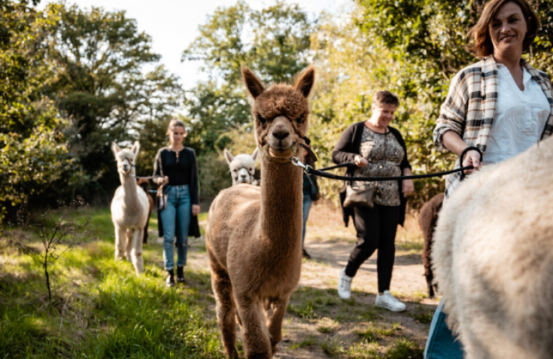 Schermafbeelding 2025 06 02 140743