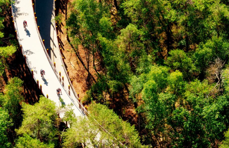 Nationalpark Bosland