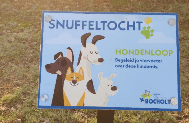 Schermafbeelding 2025 06 02 152435