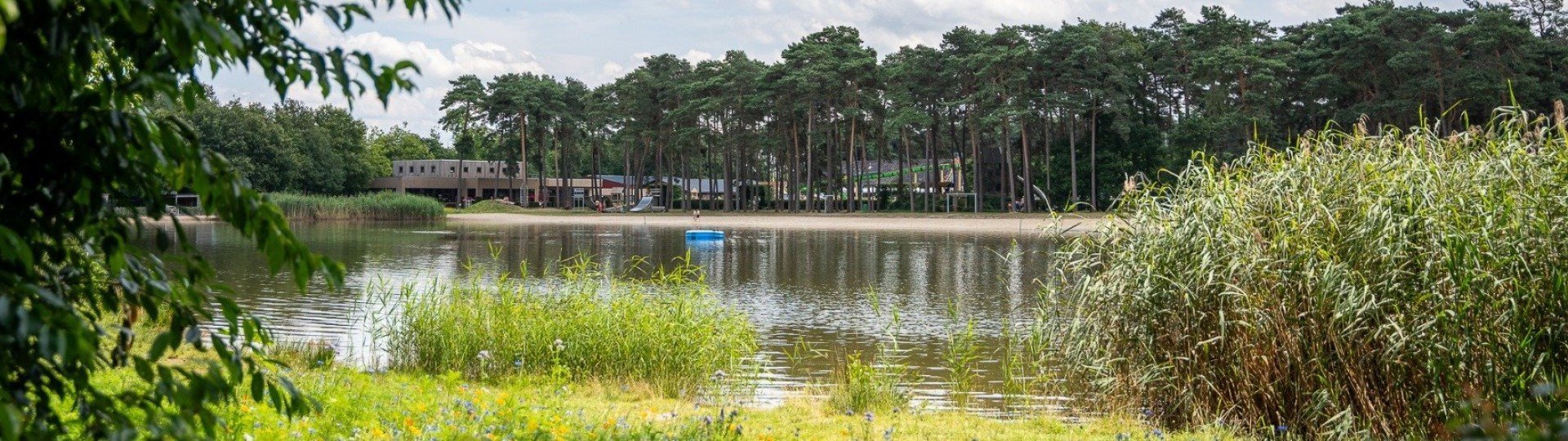 Zwemmen goolderheide